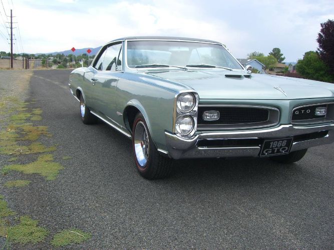 Unknown-Gto-1966-Green-19