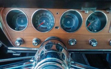 Unknown-Gto-1966-Green-6
