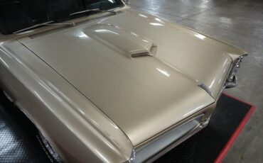 Unknown-Gto-1966-Martinique-Bronze-Black-28