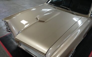 Unknown-Gto-1966-Martinique-Bronze-Black-29