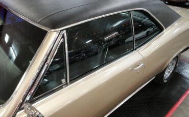 Unknown-Gto-1966-Martinique-Bronze-Black-34