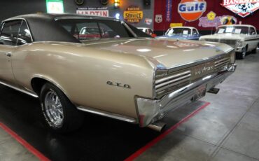 Unknown-Gto-1966-Martinique-Bronze-Black-46