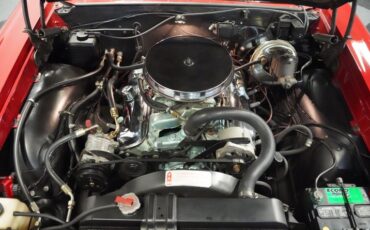 Unknown-Gto-1966-Montero-Red-Parchment-7