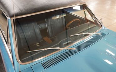 Unknown-Gto-1967-Blue-33