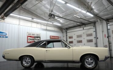 Unknown-Gto-1967-Cameo-Ivory-Red-25