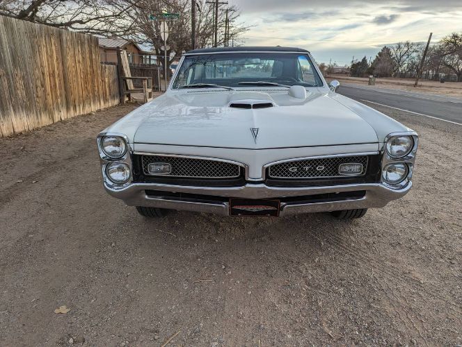 Unknown-Gto-1967-Cameo-IvoryBlack-Vi-Black-2