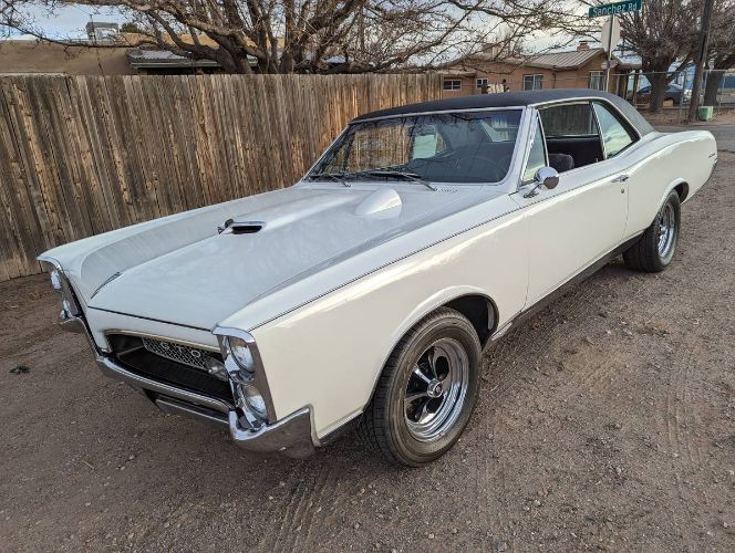 Unknown-Gto-1967-Cameo-IvoryBlack-Vi-Black-4