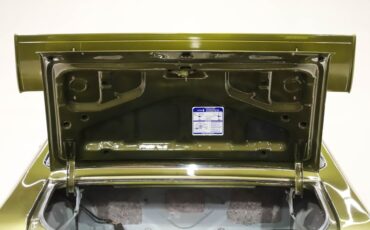 Unknown-Gto-1970-Verdoro-Green-Saddle-6