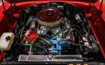 Unknown-Gtx-1967-Bright-Red-Red-16