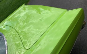 Unknown-Gtx-1969-Lime-GreenBlack-Black-22