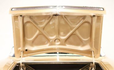 Unknown-Gtx-1969-Spanish-Gold-White-10