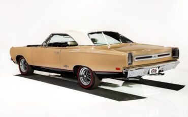 Unknown-Gtx-1969-Spanish-Gold-White-14
