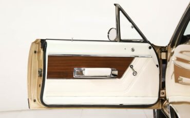 Unknown-Gtx-1969-Spanish-Gold-White-15
