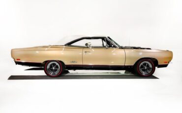 Unknown-Gtx-1969-Spanish-Gold-White-21