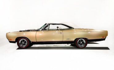 Unknown-Gtx-1969-Spanish-Gold-White-47