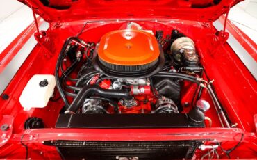 Unknown-Gtx-1969-Viper-Red-Black-11