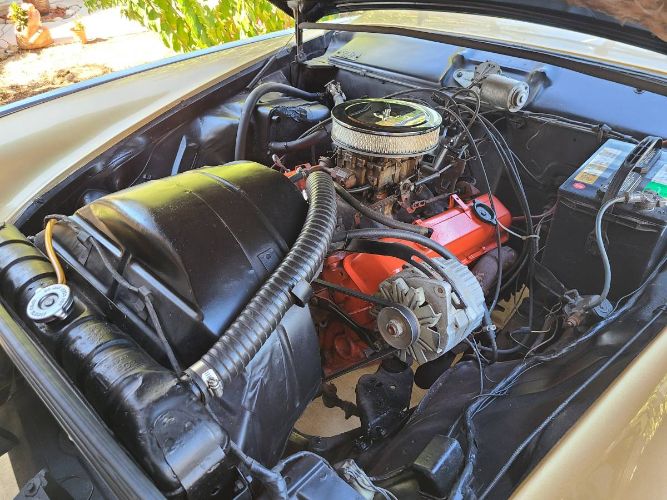 Unknown-Hawk-1963-Custom-12