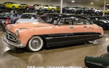 Unknown-Hornet-1951-Pink-and-Black-White-27