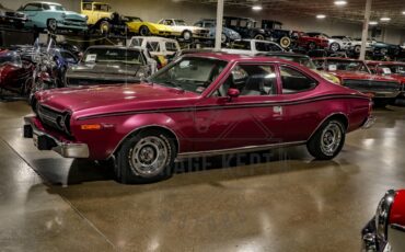 Unknown-Hornet-1974-Plum-Metallic-Black-34