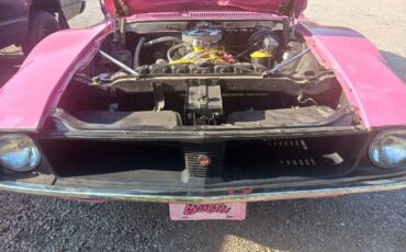 Unknown-Javelin-1971-Pink-12