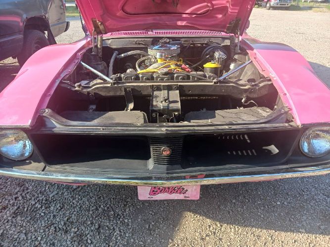 Unknown-Javelin-1971-Pink-12