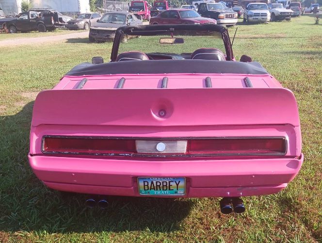 Unknown-Javelin-1971-Pink-2