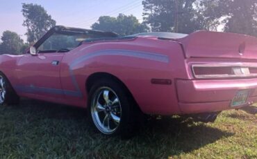 Unknown-Javelin-1971-Pink-3