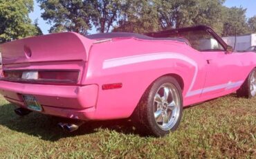Unknown-Javelin-1971-Pink-4