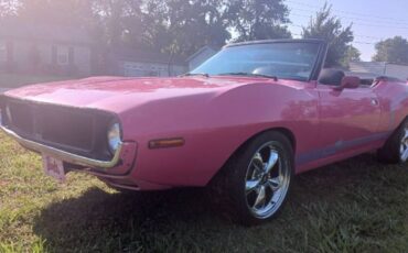 Unknown-Javelin-1971-Pink-5