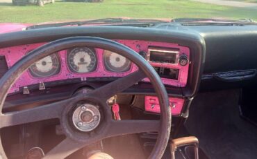 Unknown-Javelin-1971-Pink-8