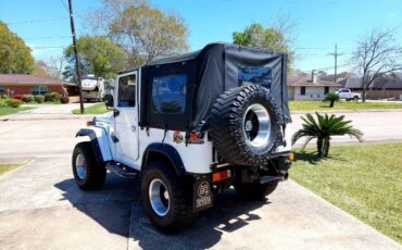 Unknown-Land-cruiser-1961-White-10