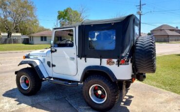 Unknown-Land-cruiser-1961-White-13