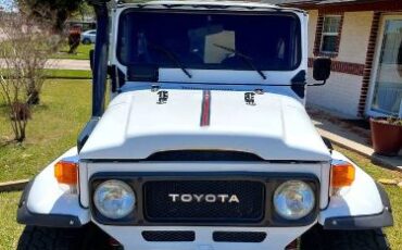 Unknown-Land-cruiser-1961-White-14