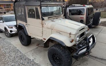 Unknown-Land-cruiser-1965-Beige-Beige-2