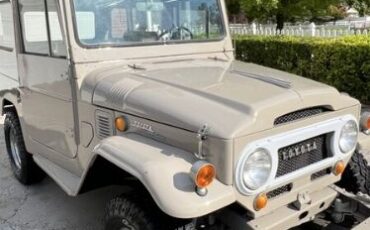 Unknown-Land-cruiser-1968-Beige-Beige-19