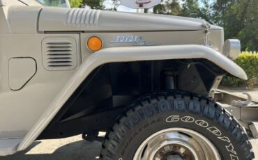 Unknown-Land-cruiser-1968-Beige-Beige-31