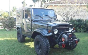 Unknown-Land-cruiser-1968-Green-9