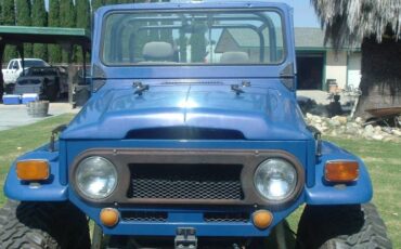 Unknown-Land-cruiser-1969-Blue-22