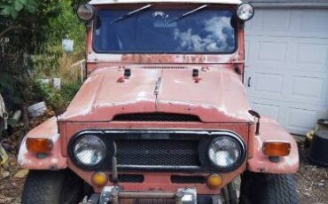 Unknown-Land-cruiser-1969-Red-6