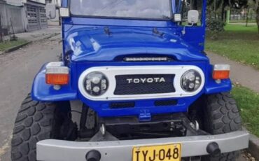 Unknown-Land-cruiser-1970-Blue-6
