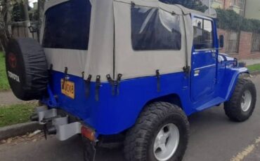 Unknown-Land-cruiser-1970-Blue-7