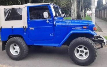Unknown-Land-cruiser-1970-Blue-8