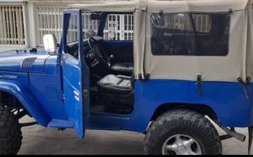 Unknown-Land-cruiser-1970-Blue-9