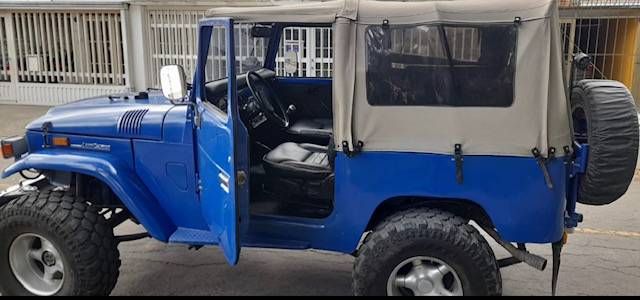 Unknown-Land-cruiser-1970-Blue-9