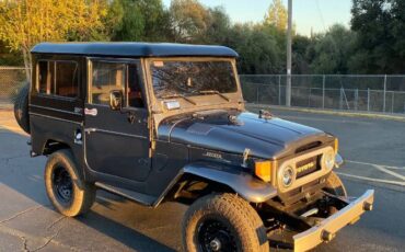 Unknown-Land-cruiser-1970-Gray-23