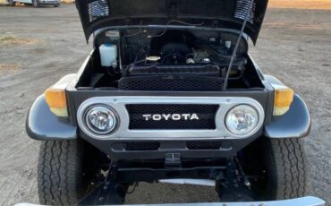 Unknown-Land-cruiser-1970-Gray-3