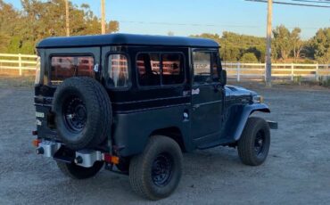 Unknown-Land-cruiser-1970-Gray-8