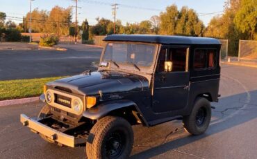 Unknown-Land-cruiser-1970-Gray-9