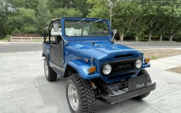 Unknown-Land-cruiser-1971-Blue-Black