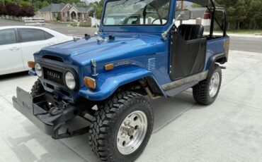 Unknown-Land-cruiser-1971-Blue-Black-9